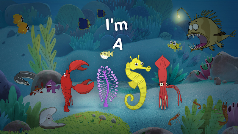 IM-A-FISH-Series-STILL-1